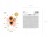 balony HOCUS POCUS czarne koty HALLOWEEN mix 6 szt