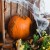 Sztuczna PAJĘCZYNA BIAŁA HALLOWEEN DEKORACJA DUŻA 2 pająki 60g