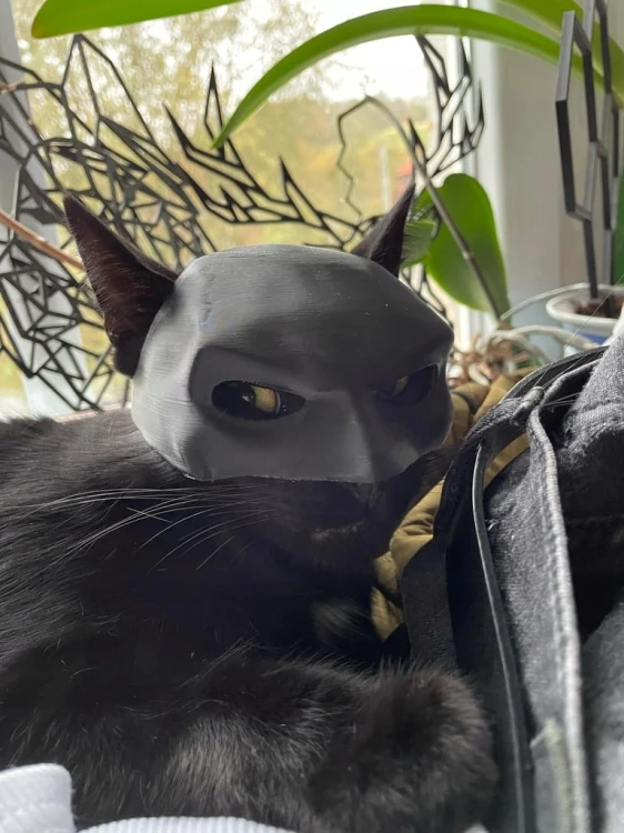 MASKA DLA KOTA BATMAN BAT-CAT PRZEBRANIE STRÓJ HALLOWEEN VIRAL TIKTOK
