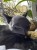 MASKA DLA KOTA BATMAN BAT-CAT PRZEBRANIE STRÓJ HALLOWEEN VIRAL TIKTOK