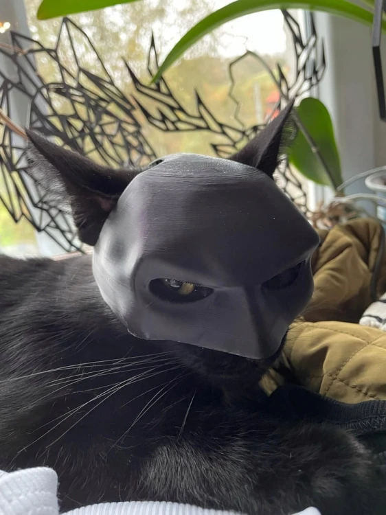 MASKA DLA KOTA BATMAN BAT-CAT PRZEBRANIE STRÓJ HALLOWEEN VIRAL TIKTOK