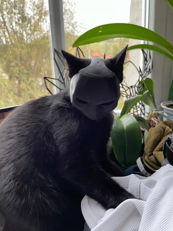 MASKA DLA KOTA BATMAN BAT-CAT PRZEBRANIE STRÓJ HALLOWEEN VIRAL TIKTOK